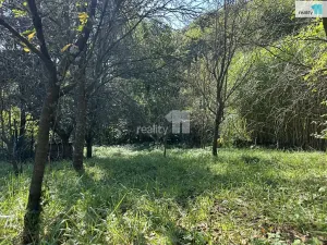 Prodej chaty, Březnice, 18 m2