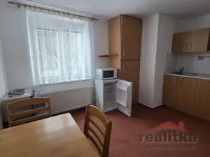 Pronájem bytu 1+1, Opava - Předměstí, Těšínská, 35 m2