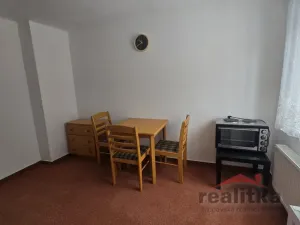 Pronájem bytu 1+1, Opava - Předměstí, Těšínská, 35 m2