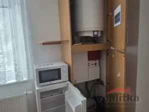 Pronájem bytu 1+1, Opava - Předměstí, Těšínská, 35 m2