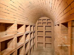 Pronájem ubytování, Valtice, Josefská, 251 m2