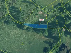 Dražba louky, Zavlekov, 272 m2