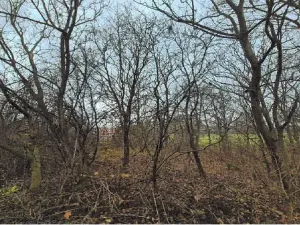 Dražba komerčního pozemku, Radějov, 3231 m2