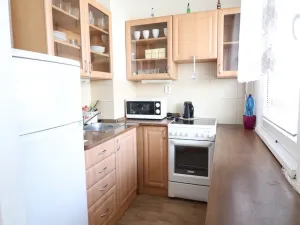 Pronájem bytu 1+kk, Hradec Králové - Pražské Předměstí, Hrubínova, 39 m2