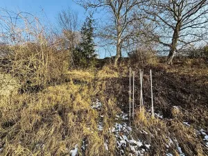 Prodej rodinného domu, Nemotice, 88 m2