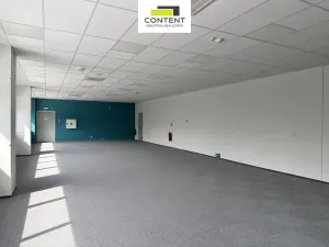 Pronájem skladu, Most - Čepirohy, Žatecká, 4500 m2