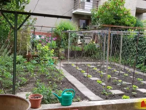 Pronájem bytu 2+1, Brno - Černá Pole, 41 m2