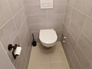 Pronájem bytu 1+1, Děčín - Děčín IV-Podmokly, Raisova, 44 m2