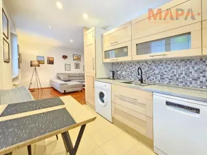 Pronájem bytu 2+1, Chomutov, Patočkova, 50 m2