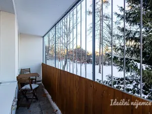 Pronájem bytu 1+kk, Praha - Michle, Mezipolí, 29 m2