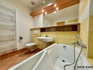 Pronájem bytu 2+kk, Brno - Židenice, Bubeníčkova, 64 m2