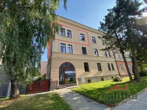 Prodej bytu 4+1, Opava - Předměstí, Olomoucká, 110 m2