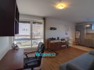 Prodej bytu 2+kk, Kroměříž, K Terezovu, 52 m2