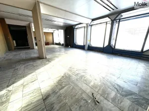 Pronájem obchodního prostoru, Příbram - Příbram VII, Bož. Němcové, 240 m2