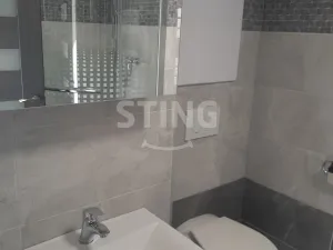 Pronájem bytu 1+1, Přerov, tř. 17. listopadu, 43 m2