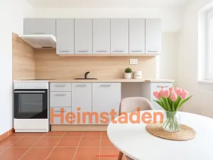 Pronájem bytu 1+1, Havířov - Prostřední Suchá, Hornická, 33 m2