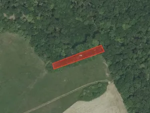 Prodej louky, Nesvačily, 9239 m2