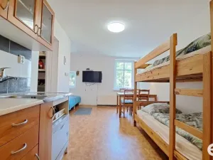 Pronájem bytu 1+kk, Kořenov, 29 m2