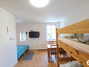 Pronájem bytu 1+kk, Kořenov, 29 m2