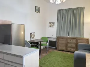 Pronájem bytu 1+kk, Praha - Nusle, Družstevní, 29 m2