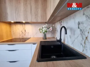 Prodej bytu 3+kk, Havířov - Podlesí, Družstevnická, 68 m2