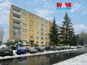 Prodej bytu 3+1, Sokolov, Švabinského, 62 m2