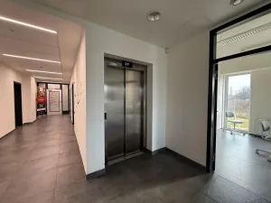 Pronájem kanceláře, Brno - Štýřice, Pražákova, 38 m2