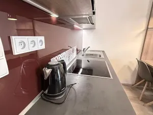 Prodej bytu 1+kk, Dolní Morava - Velká Morava, 54 m2