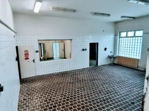 Prodej výrobních prostor, Uherčice, 1500 m2