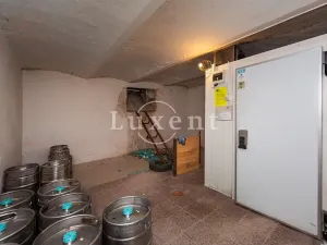 Prodej ubytování, Bělá nad Radbuzou, Náměstí, 800 m2