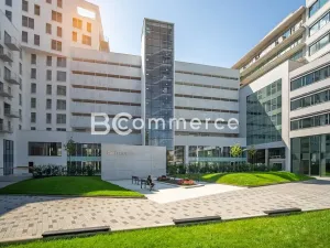 Pronájem kanceláře, Brno, 310 m2