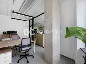 Pronájem kanceláře, Brno, 235 m2