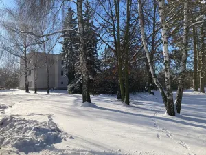 Pronájem bytu 2+1, Luštěnice, 53 m2