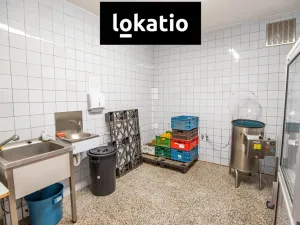 Pronájem skladu, Hořice, 321 m2