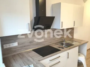Pronájem bytu 2+kk, Holešov, Palackého, 55 m2