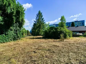 Prodej výrobních prostor, Ostrava - Zábřeh, Horymírova, 98 m2