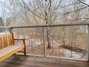 Pronájem bytu 1+kk, České Budějovice - České Budějovice 2, Volejbalistů, 42 m2