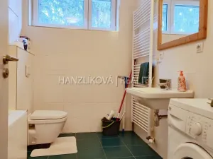 Pronájem bytu 1+kk, České Budějovice - České Budějovice 2, Volejbalistů, 42 m2