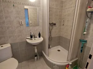 Pronájem bytu 1+kk, Olomouc, tř. Svobody, 35 m2