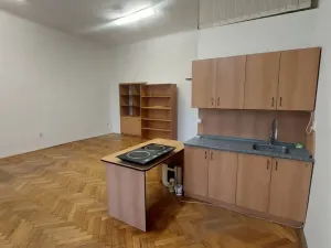 Pronájem bytu 1+kk, Olomouc, tř. Svobody, 35 m2
