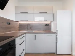 Pronájem bytu 2+kk, Bílina, Tylova, 44 m2