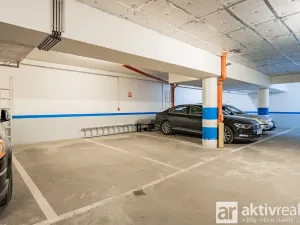 Pronájem bytu 4+kk, Praha - Vinohrady, Perucká, 180 m2