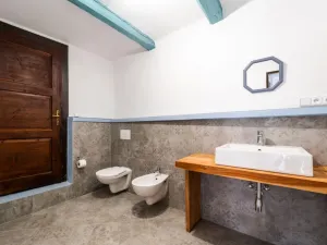 Prodej ubytování, Chvalšiny, 255 m2