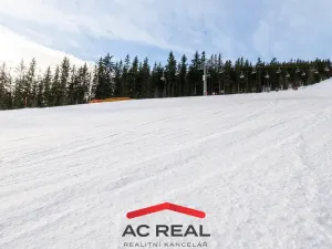 Prodej bytu 3+kk, Vrchlabí - Hořejší Vrchlabí, Horská, 64 m2