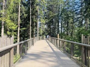 Prodej bytu 3+kk, Vrchlabí - Hořejší Vrchlabí, Horská, 64 m2