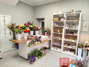 Prodej rodinného domu, Znojmo, Velká Michalská, 326 m2