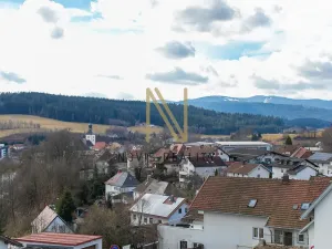 Prodej vícegeneračního domu, Regen,, Německo, 213 m2