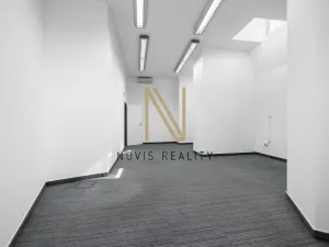 Pronájem kanceláře, Plzeň, Americká, 140 m2