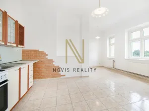 Pronájem bytu 2+1, Plzeň, Denisovo nábřeží, 96 m2