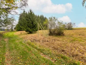 Prodej pozemku pro bydlení, Frymburk, 1598 m2